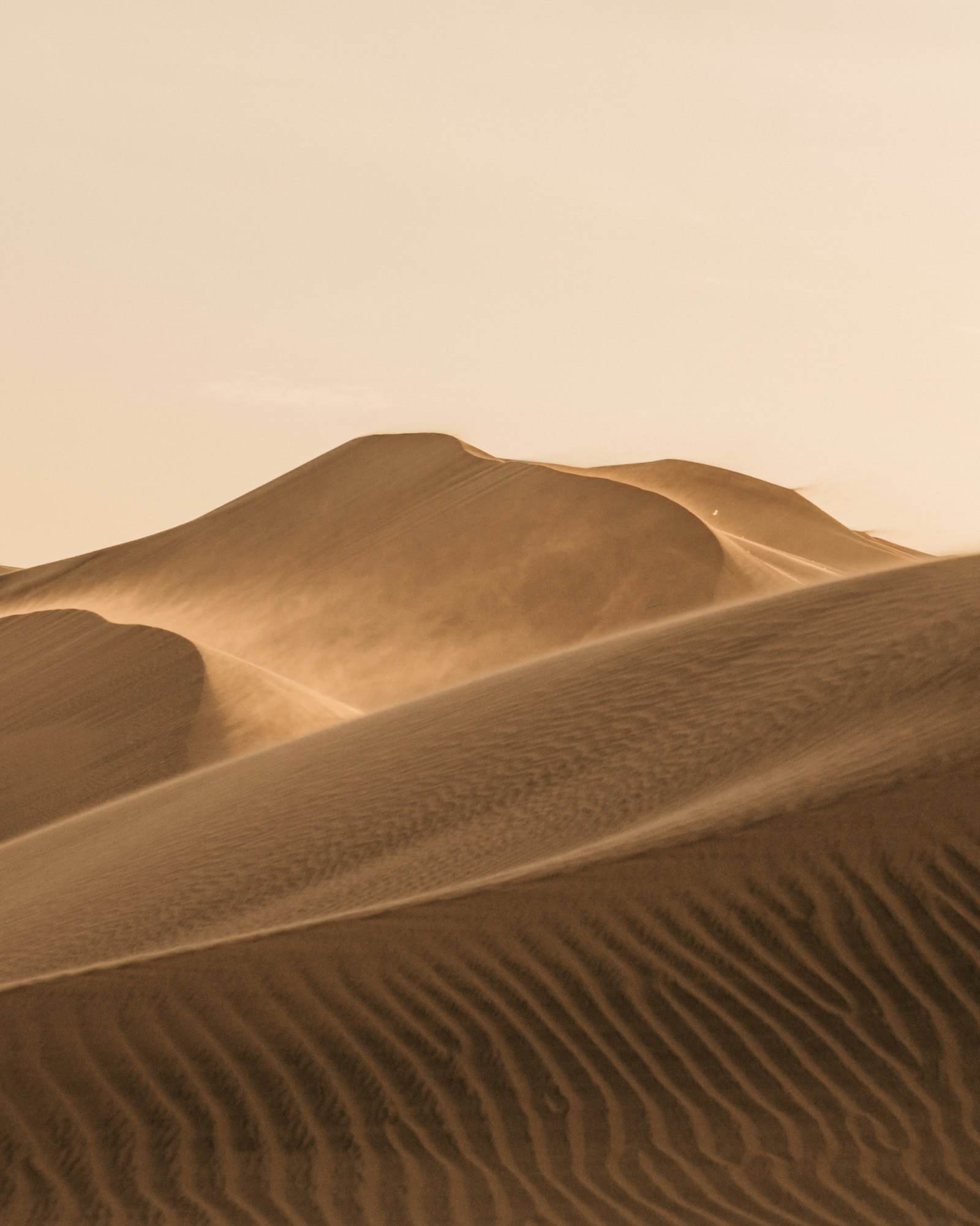 Wind-carved desert dunes under a low amber sun